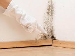 Best Attic Mold Removal in West Livingston, TX